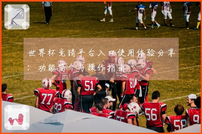 世界杯竞猜平台入口使用体验分享：功能简介与操作指南