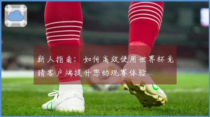 新人指南：如何高效使用世界杯竞猜客户端提升您的观赛体验