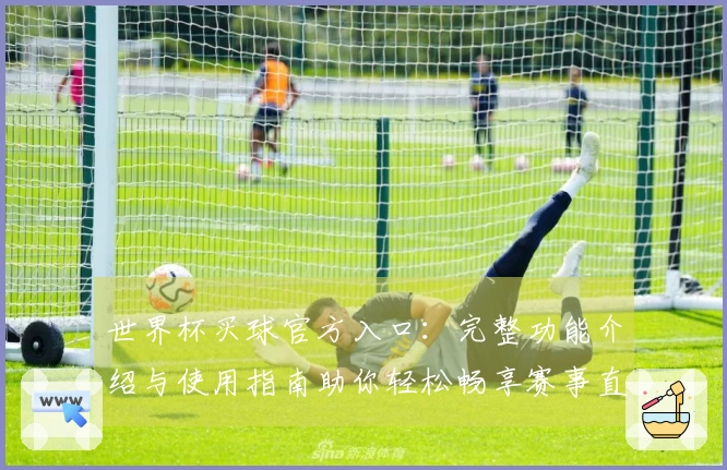 世界杯买球官方入口：完整功能介绍与使用指南助你轻松畅享赛事直播