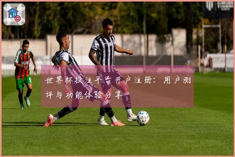 世界杯投注平台开户注册：用户测评与功能体验分享