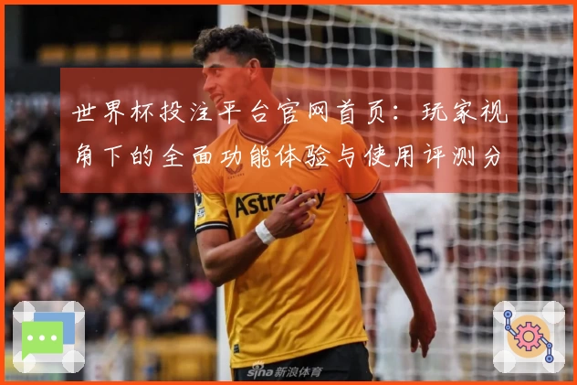 世界杯投注平台官网首页：玩家视角下的全面功能体验与使用评测分析