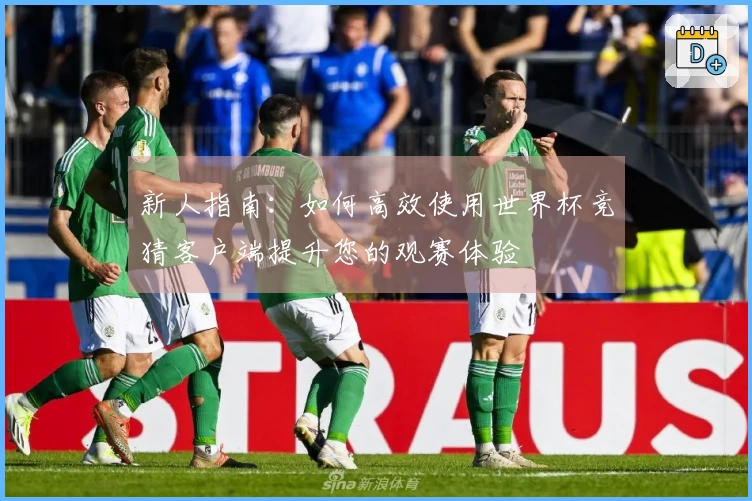 新人指南：如何高效使用世界杯竞猜客户端提升您的观赛体验