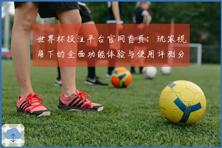 世界杯投注平台官网首页：玩家视角下的全面功能体验与使用评测分析